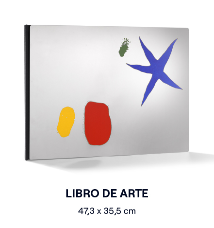 Libro de arte