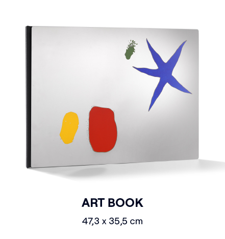 Libro de arte