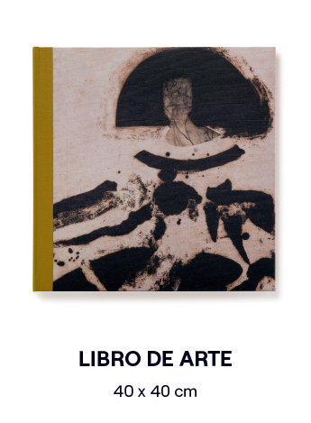 Libro arte